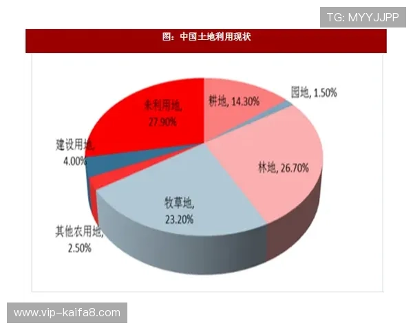 探索凯发FB体育的市场潜力，未来发展方向与趋势分析