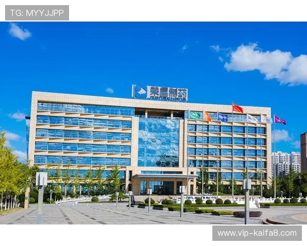 凯发天生赢家·一触即发：用行动点燃成功的火焰迎接未来